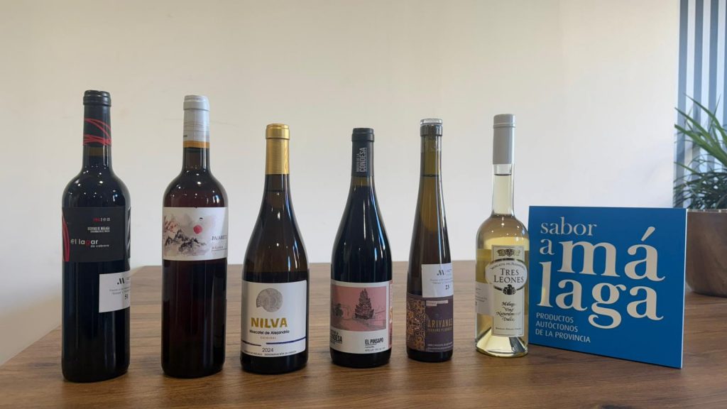 Vinos ganadores en los Premios a los Mejores Vinos con Denominación de Origen ‘Málaga’ y ‘Sierra de Málaga’ 2025 de Sabor a Málaga