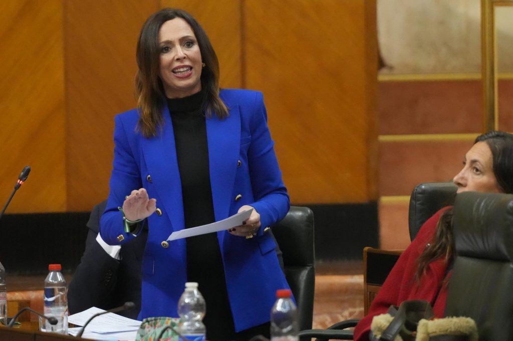 20251203 Rocío Díaz, consejera de Fomento, en el pleno Parlamento Andaluz