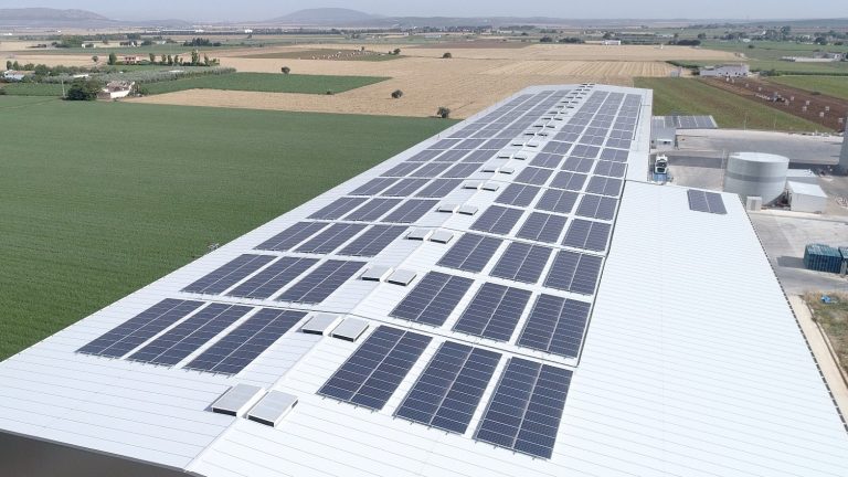 Paneles solares fotovoltaicas en instalaciones del Grupo Dcoop
