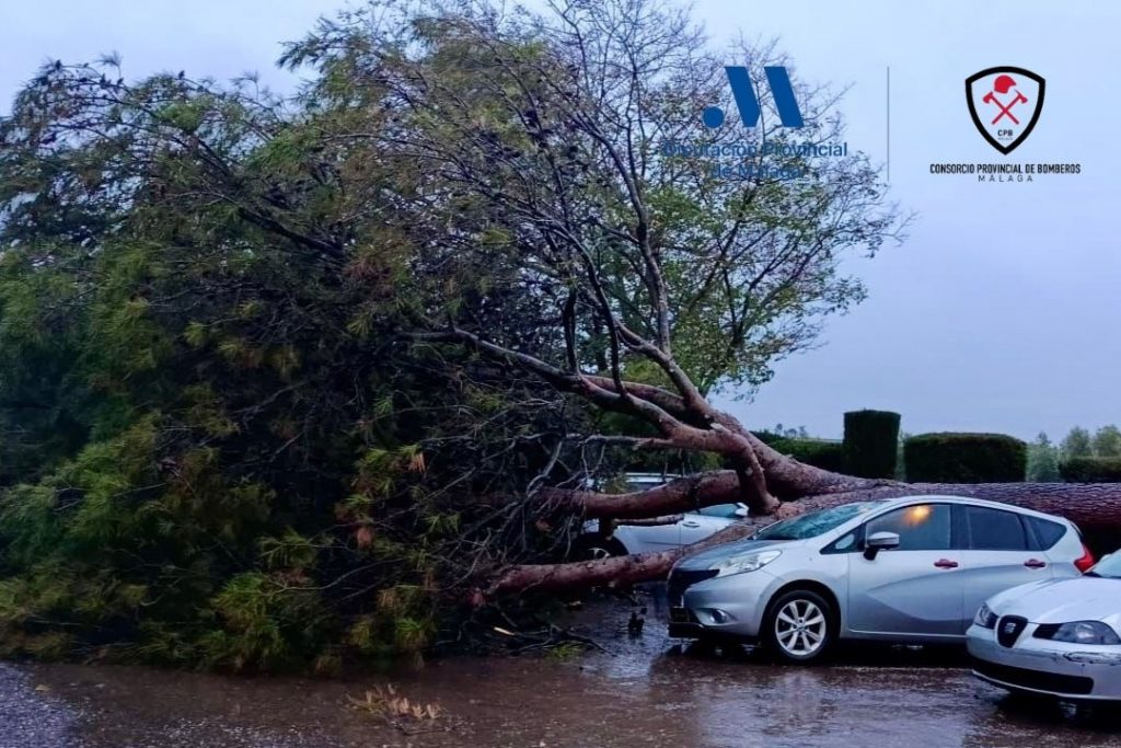 20260202 Árbol caído en la entrada del Caserío San Benito (foto Consorcio Provincial de Bomberos)