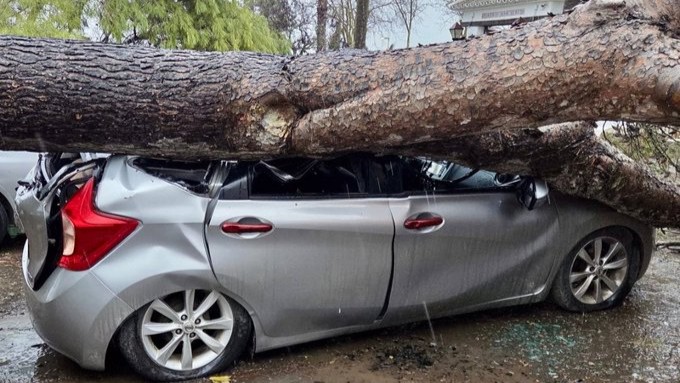 20260202 Coche afectado por la caída de un árbol en el Caserío San Benito por las rachas de viento de Leonardo (foto Consorcio Provincial de Bomberos)