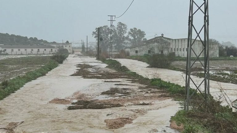 Efectos de las lluvias que deja el paso de la borrasca Leonardo por Almargen (foto Ayuntamiento de Almargen)