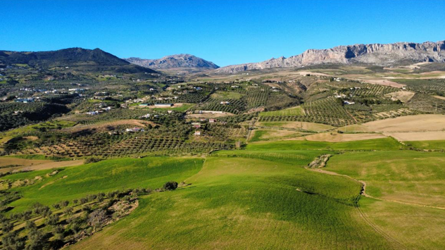 Terrenos de la sur del Torcal