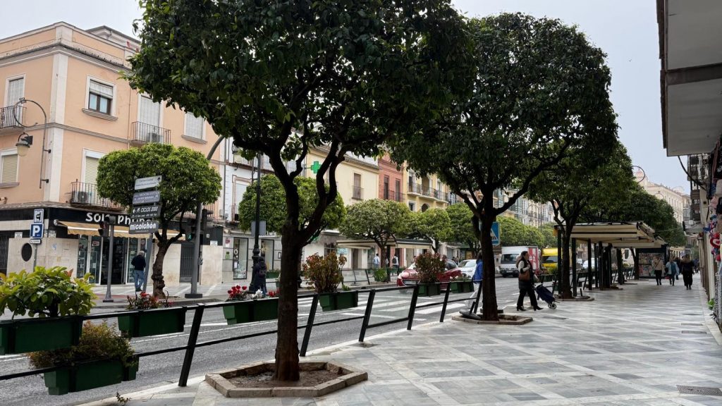 20260409 Alameda de Andalucía en Antequera (1)