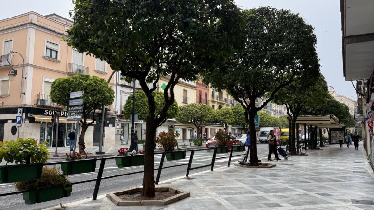 20260409 Alameda de Andalucía en Antequera (1)