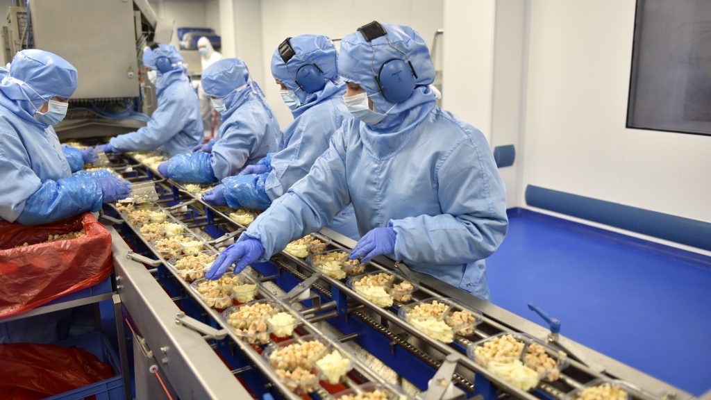 Línea de elaboración de ensaladas envasadas en la plata de Verdifresh de Antequera