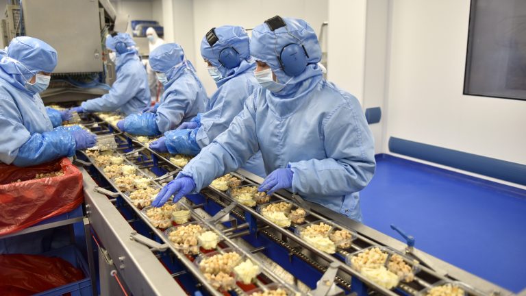 Línea de elaboración de ensaladas envasadas en la plata de Verdifresh de Antequera