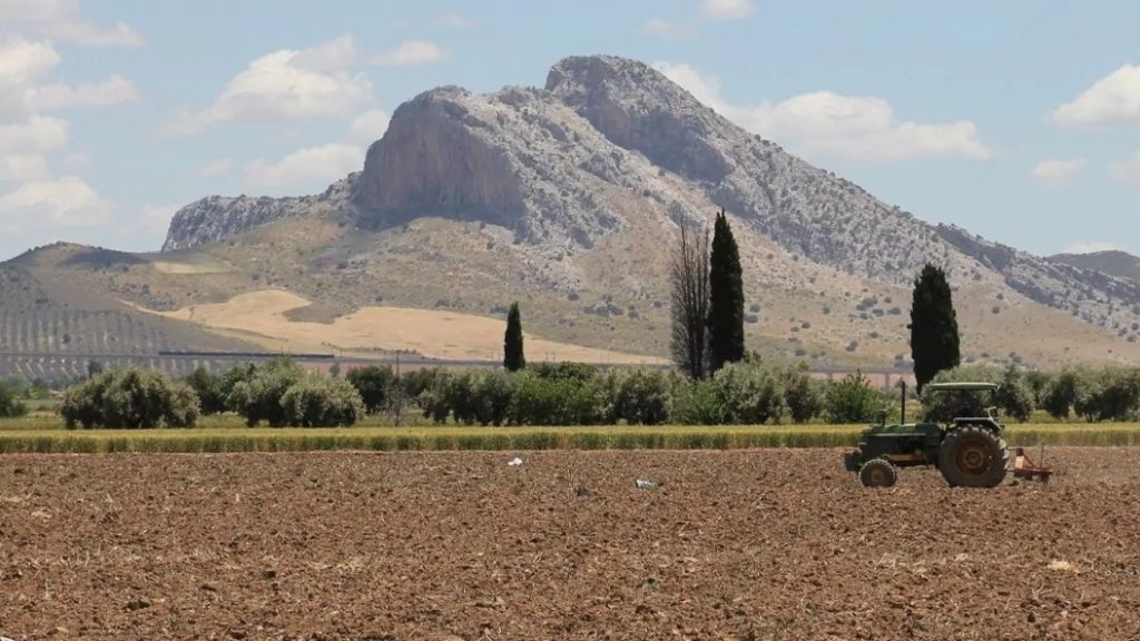 Tractor arando en tierras de la Vega de Antequera