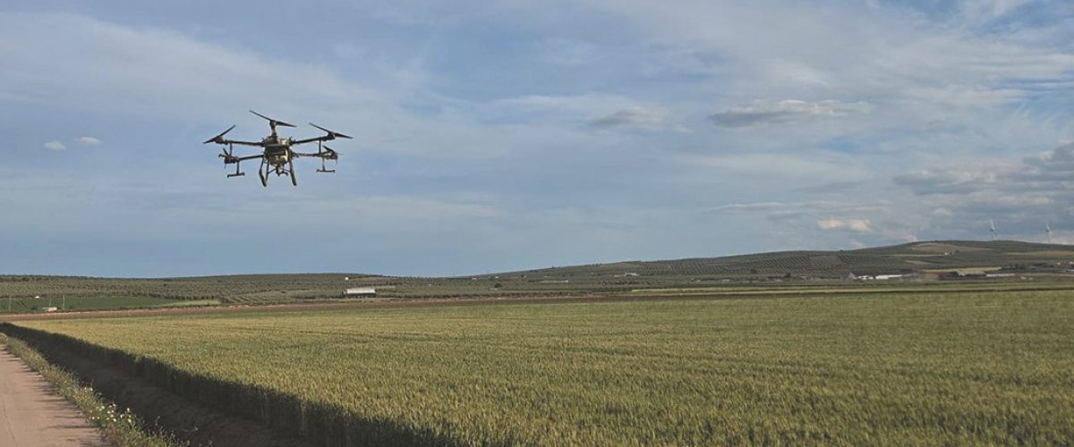Dron de Agrodrones Pi en una finca de Sierra de Yeguas